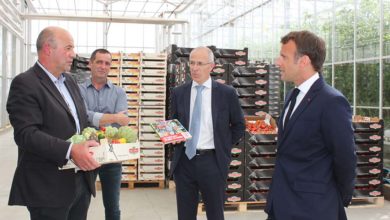 Photo of Emmanuel Macron dans le Léon