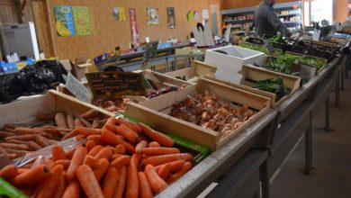 Photo of Légume : Des inquiétudes avant les récoltes