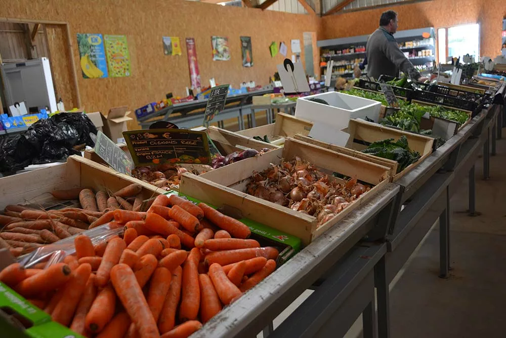  - Illustration Légume : Des inquiétudes avant les récoltes