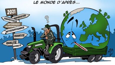Photo of Une situation, 2 analyses