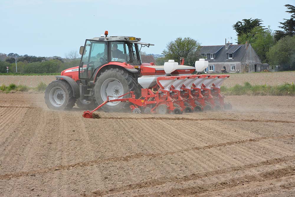  - Illustration Pleins feux sur les semis de maïs