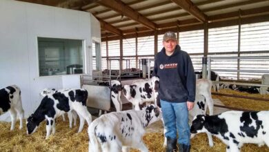 Photo of Pendant la pandémie, Matt Hendel se concentre sur l’élevage