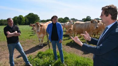 Photo of L’Administration loue le dynamisme des agriculteurs