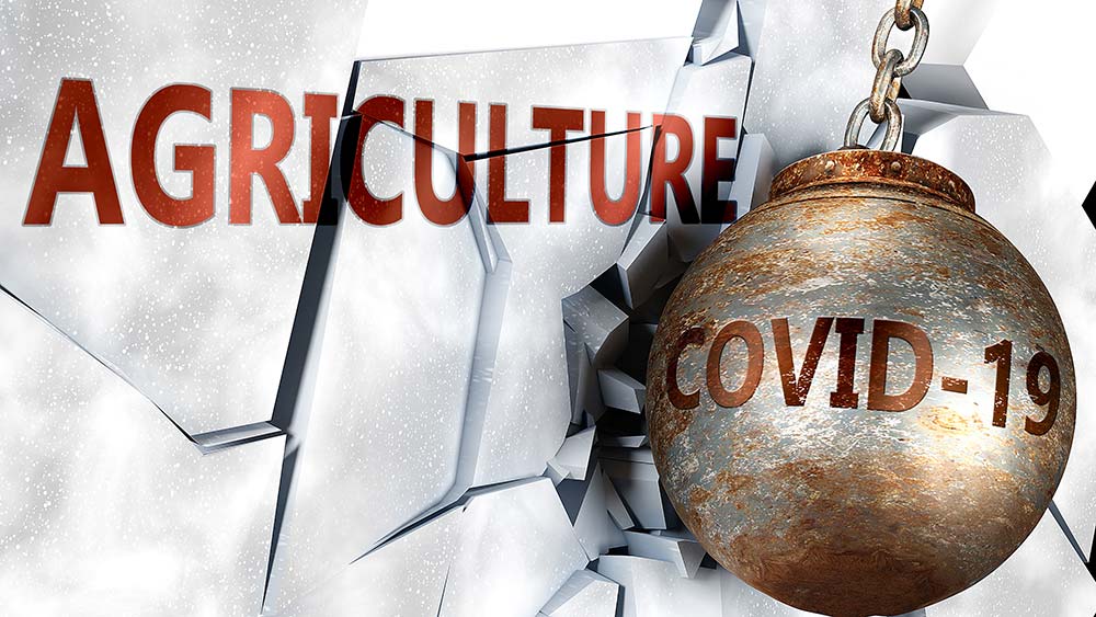  - Illustration Le modèle agricole de l’après Covid-19 : Un autre monde, une gageure ?
