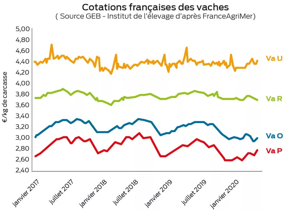  - Illustration Bovin : Des prix trop bas en femelles
