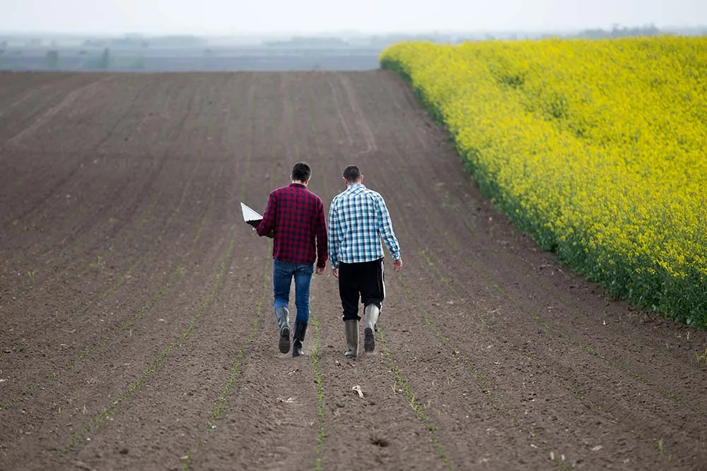  - Illustration Transmission d’entreprise agricole et pacte Dutreil, quoi de neuf ?