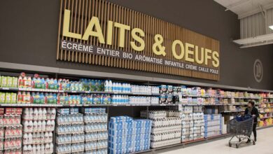 Photo of Marché laitier : « Fiers de n’avoir laissé aucun litre de lait de côté »