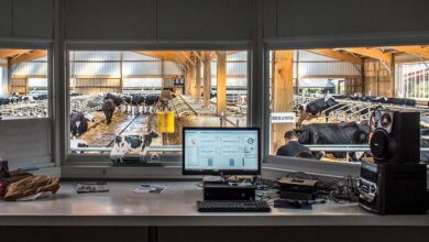 Photo of L’œil de l’expert, même à distance