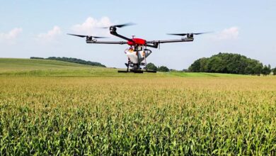 Photo of Le semis par drone prend son envol
