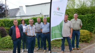 Photo of L’UCPT devient Les Maraîchers d’Armor