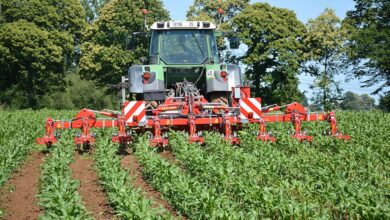 Photo of Une bineuse polyvalente en semis sur 6 ou 8 rangs