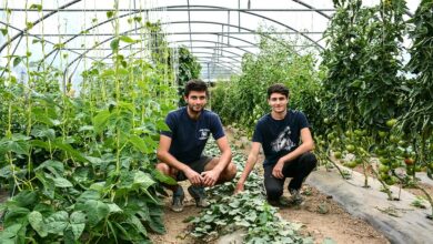Photo of Des légumes en planches permanentes