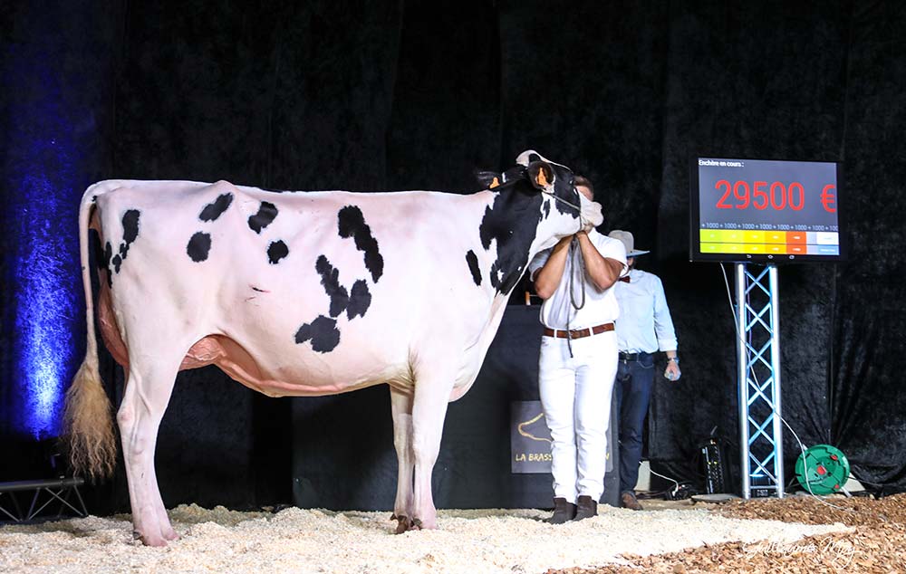 5698.hr