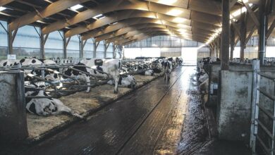 Photo of La chaleur : une préoccupation dans l’air du temps