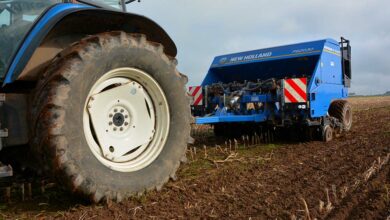 Photo of Date de semis des céréales : Respecter le calendrier