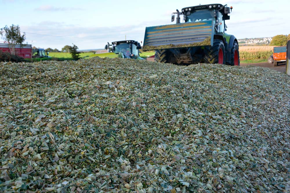 5764.hr - Illustration Ensilage : La matière sèche dirige le tassage