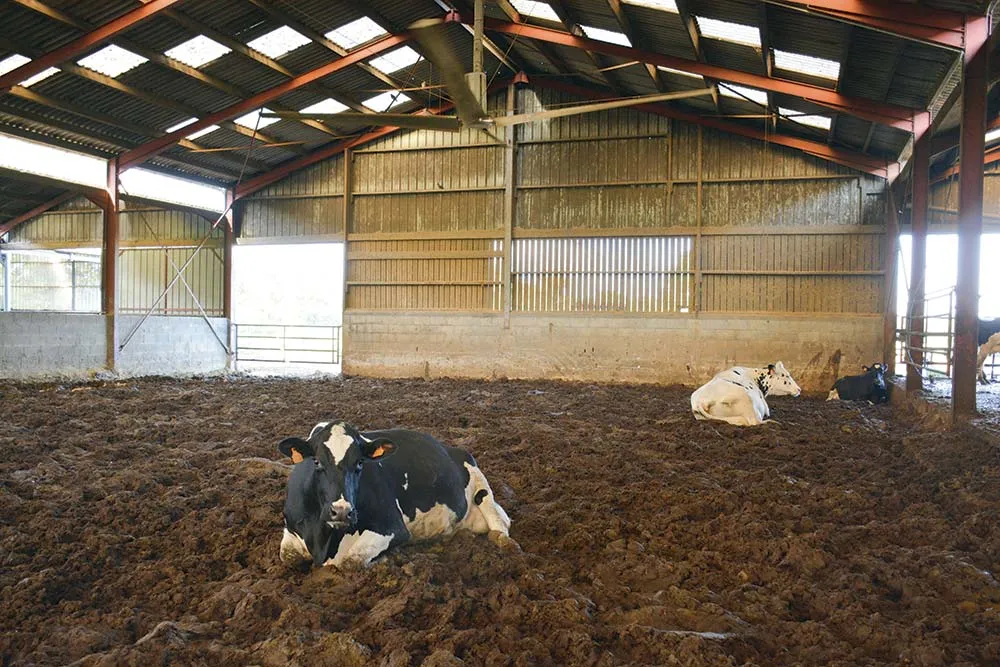 5823.hr - Illustration « Les brasseurs d’air indispensables dans notre système »