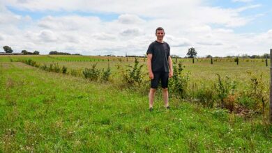 Photo of Du sans labour à l’agroforesterie