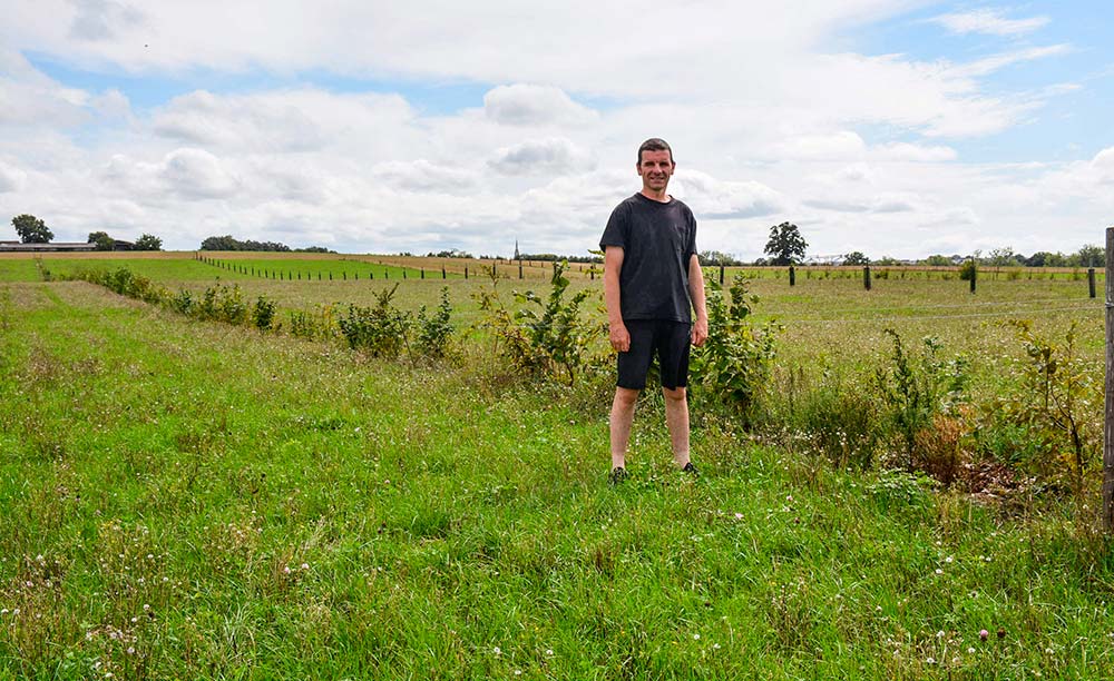 5916.hr - Illustration Du sans labour à l’agroforesterie