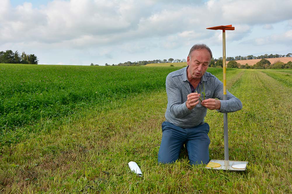 6057.hr - Illustration Gérer la pousse des parcelles de fauche