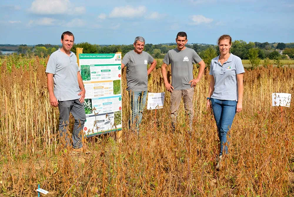 D6176.hr - Illustration De nouvelles cultures pour l’alimentation humaine