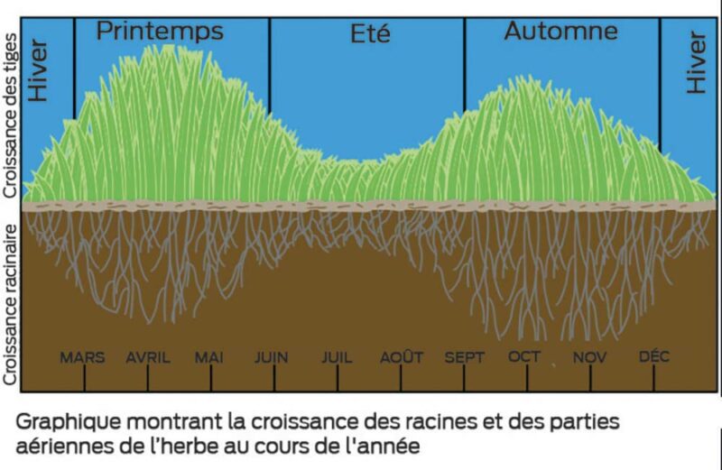 Bien enracinée, la prairie donne le meilleur | Journal Paysan Breton