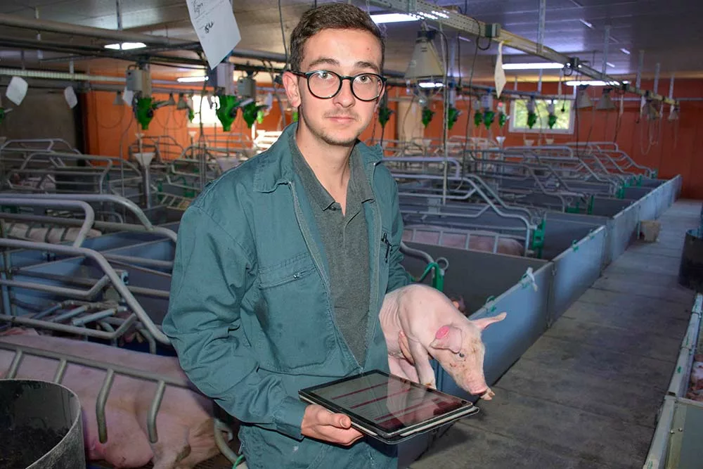 6204.hr - Illustration D’apprenti à salarié porc