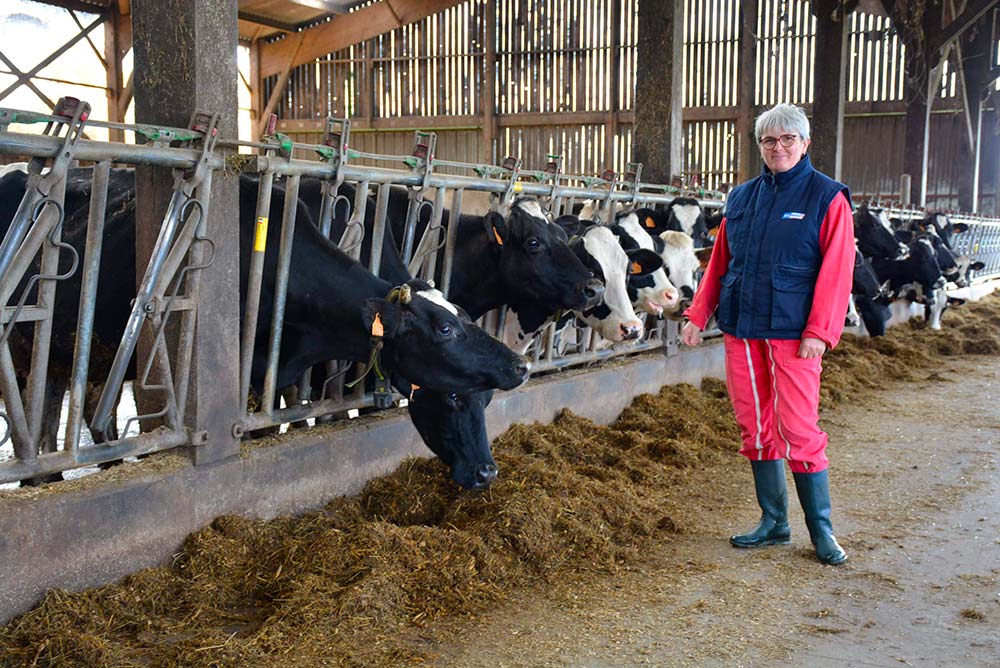 6416.hr - Illustration Deux années difficiles suite au décès de son compagnon