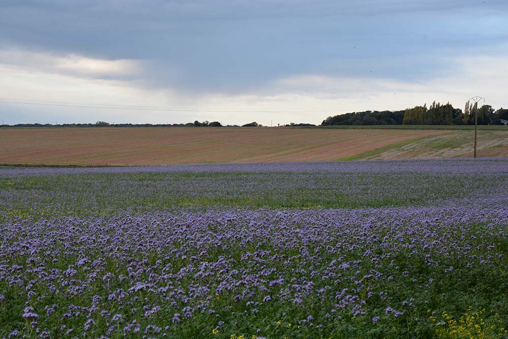 6480.hr - Illustration Des propositions communes pour réguler le foncier agricole