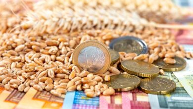 Photo of Taux de change, la boussole des marchés agricoles