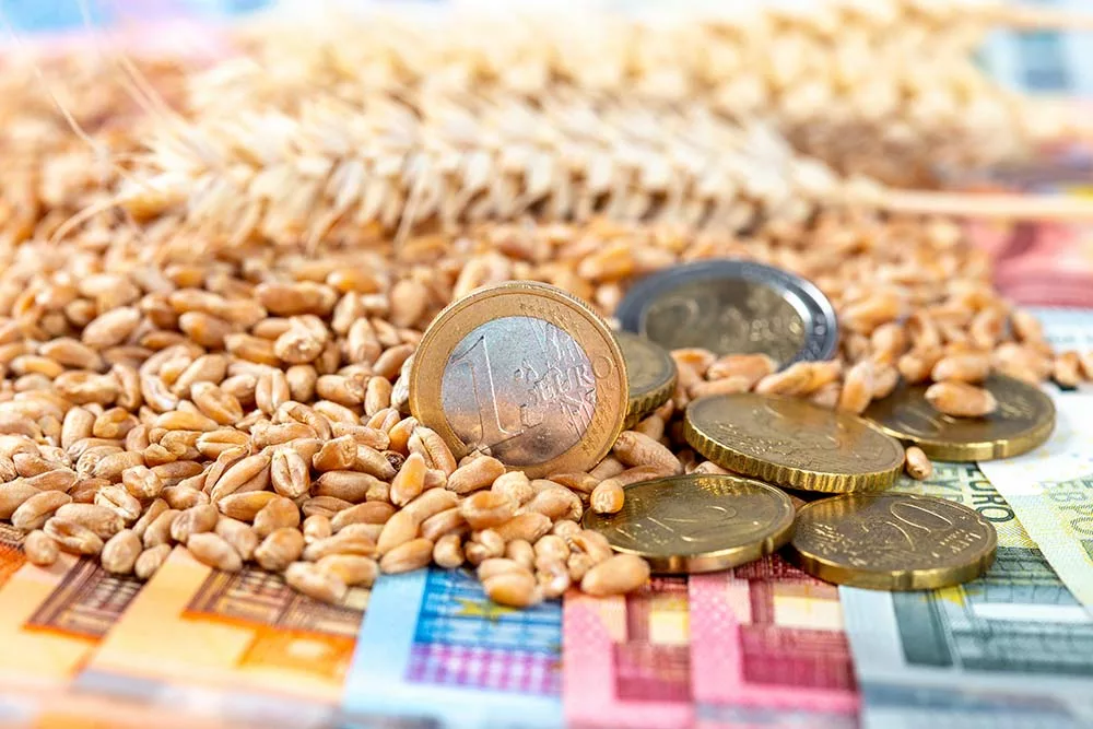 6510.hr - Illustration Taux de change, la boussole des marchés agricoles
