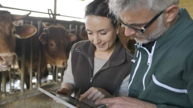 Photo of Combien gagne un agriculteur par heure travaillée ?