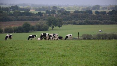 Photo of Une mobilisation territoriale des agriculteurs sur le climat