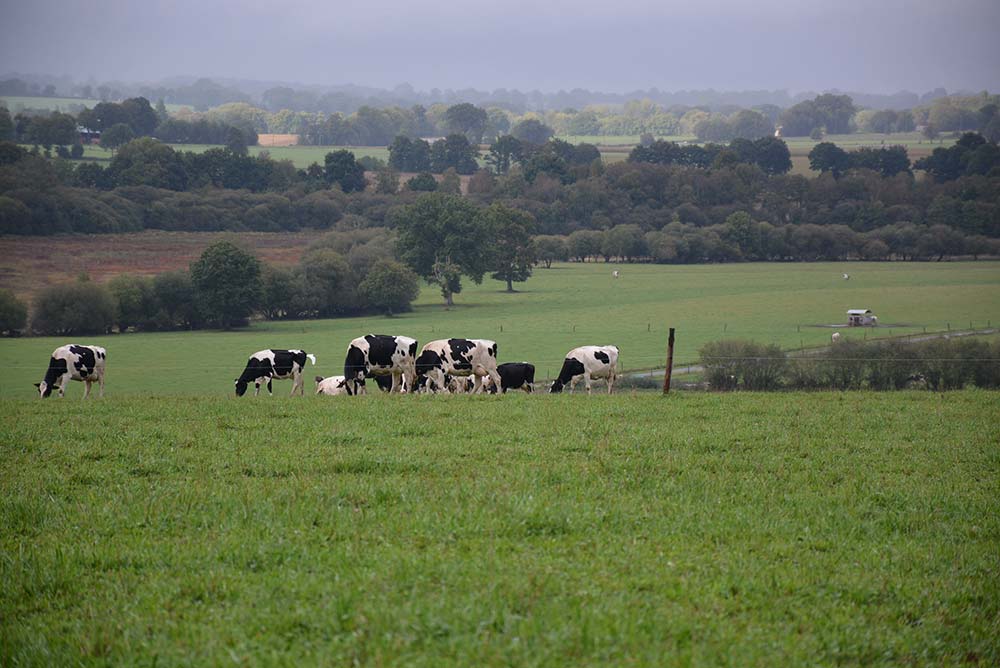 6622.hr - Illustration Une mobilisation territoriale des agriculteurs sur le climat