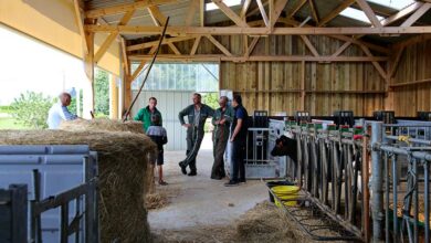Photo of Un bâtiment en kit pour la santé des veaux