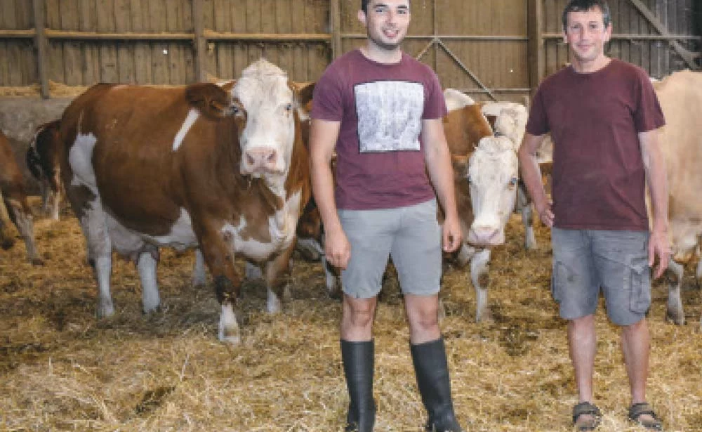 Sans Titre 1 - Illustration En Simmental, une seule race pour deux ateliers