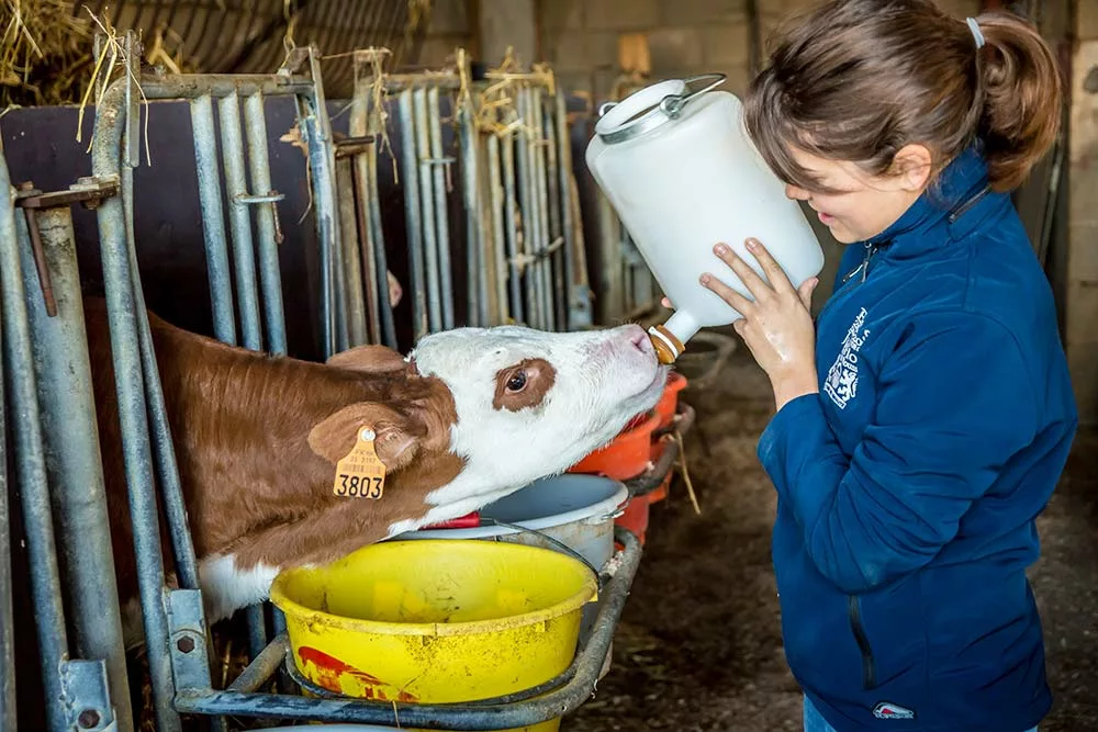 6719.hr - Illustration L’agriculture offre 13 % d’emplois en plus sur 2020