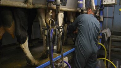 Photo of La nécessité d’investir dans l’humain