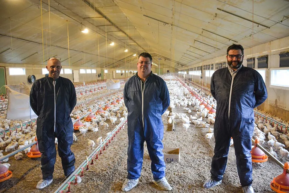 7026.hr - Illustration Réguler son poulailler en toute sérénité