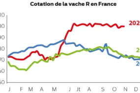 Graphique 2 Col