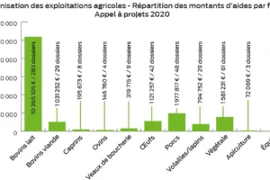 Sans Titre 2