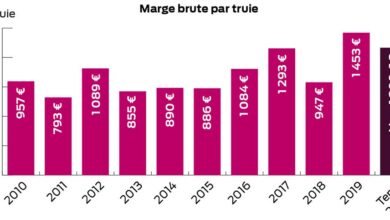 Photo of Porc : Quand les crises sanitaires renversent les tendances