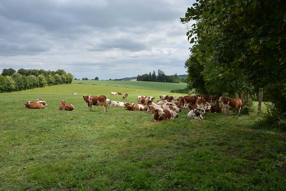 7122.hr - Illustration S’adapter aux changements climatiques