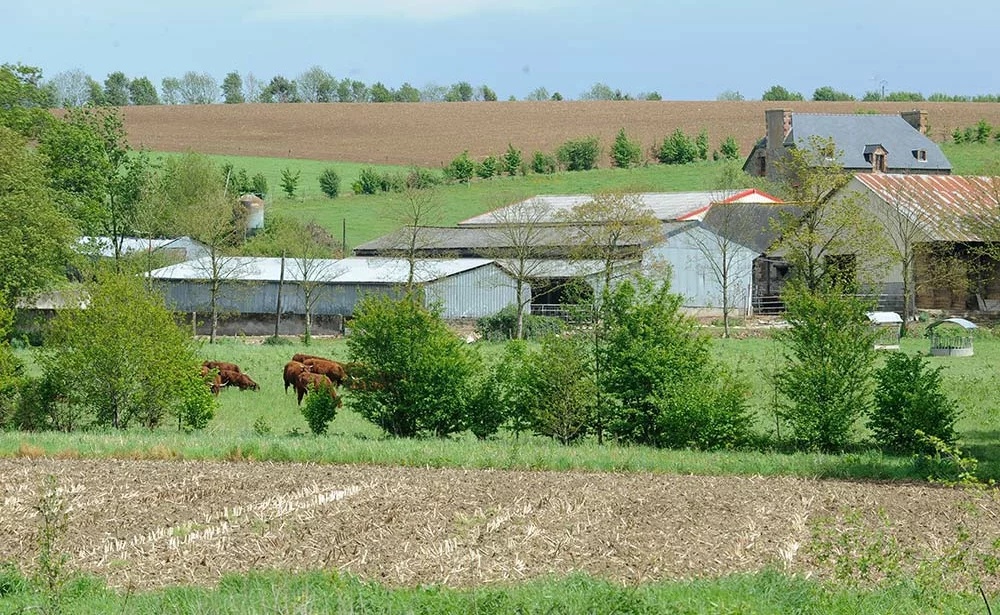 7158.hr - Illustration Les agriculteurs vivent dans l’urgence de trouver des prix rémunérateurs