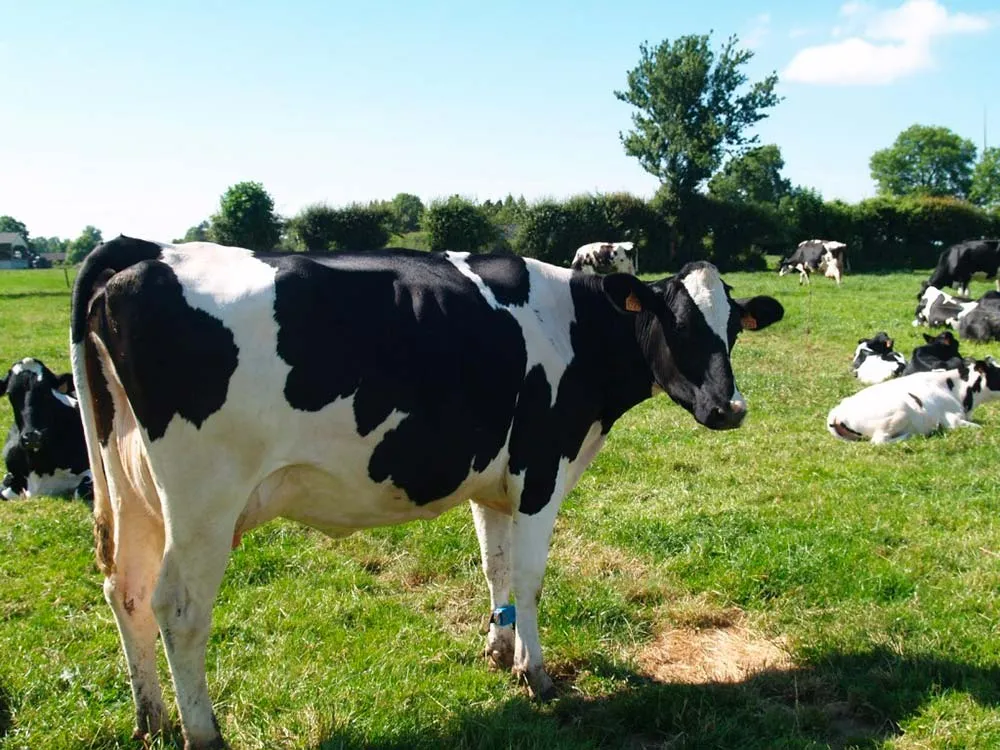 7299.hr - Illustration Identifier les axes de progrès et actionner les bons leviers