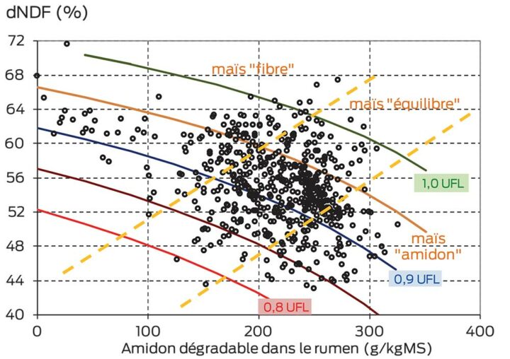 Graphique Profil Maïs Et Ration