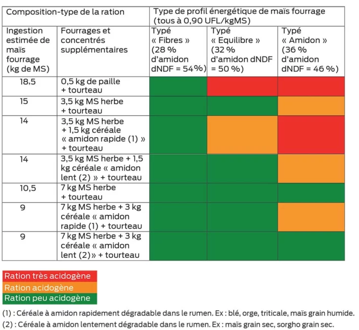 P 20 Profil Maïs Et Ration 4