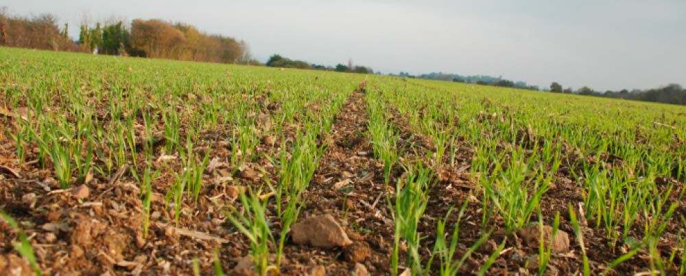 Sans Titre 1 - Illustration Besoins de 9 Md€ pour l’agro-écologie