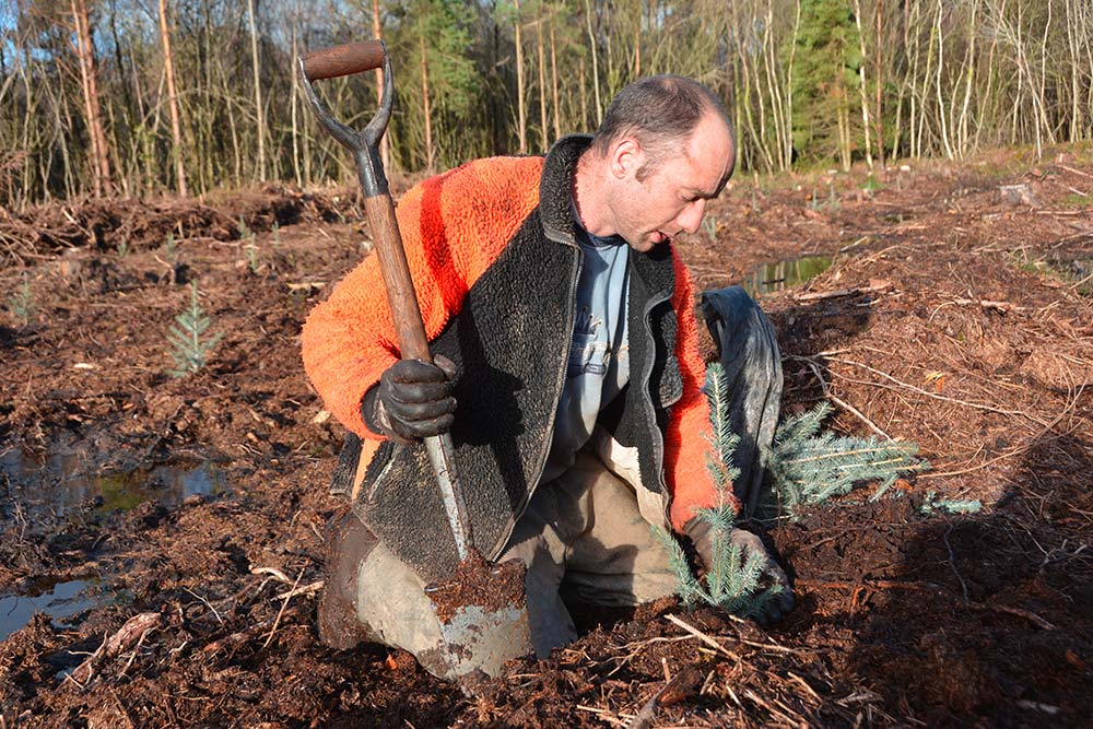 7465.hr - Illustration Il aide les forêts de demain à s’élever