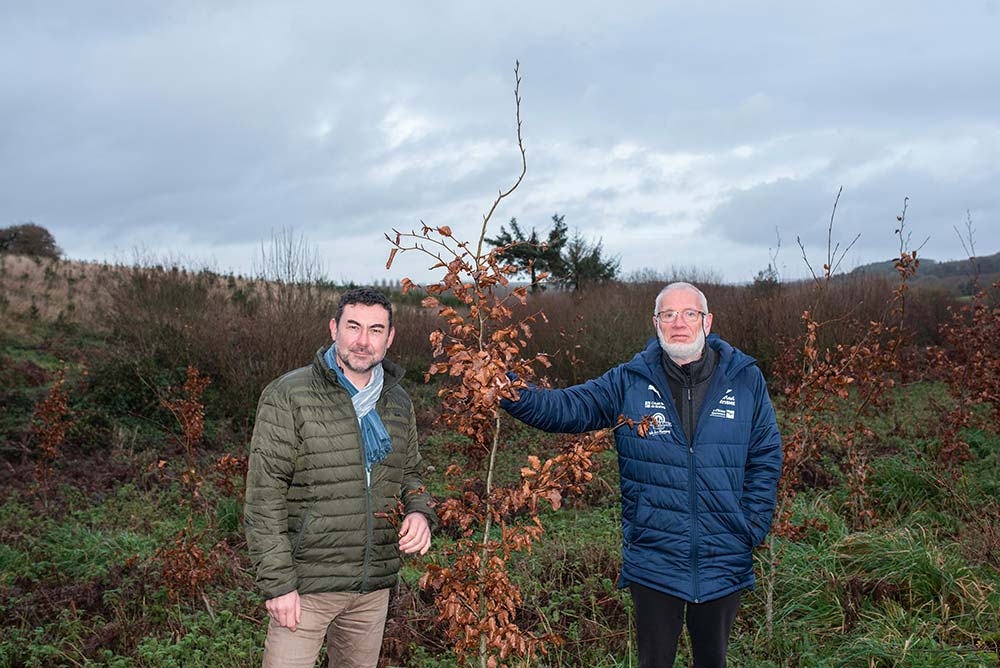 7472.hr - Illustration Planter des arbres aujourd’hui pour transmettre de la valeur